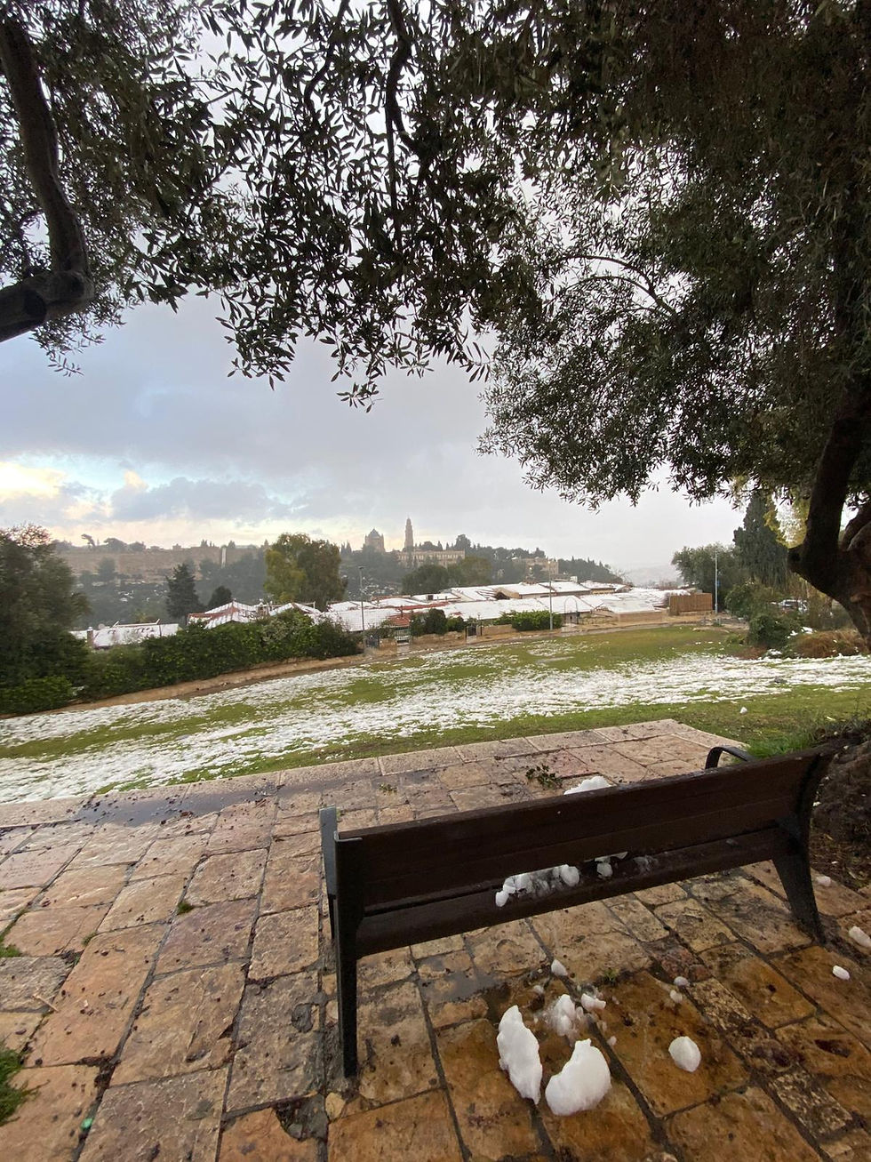 One of the best parks to visit in Jerusalem