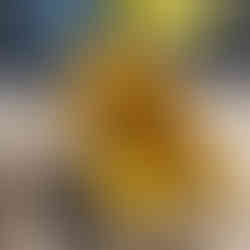 CAT428 General Purpose Bucket