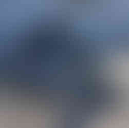 CAT336 Skeleton Bucket