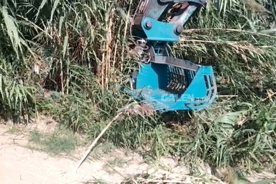 Reed Cutter Bucket