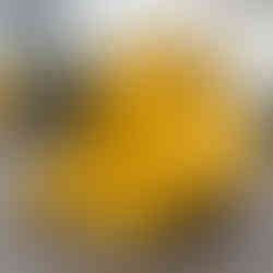 CAT320 General Purpose Bucket