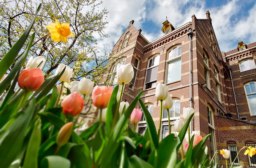 De Berenkuil in Utrecht, sfeervol cultureel pand met theaterzaal, studio’s, vergaderruimte, bar en tuin – te huur voor makers