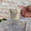 Miniature : Mug oiseau  3