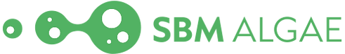 SBM-logo groen liggend (1).png