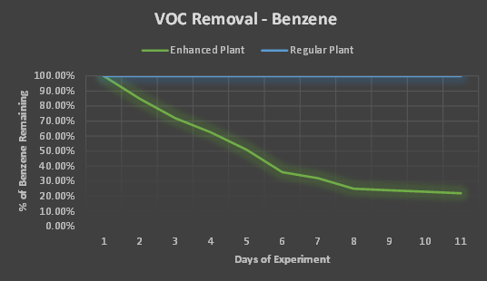 VOC removal from benzyne