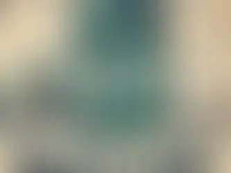 4-factor Language Access Assessment. A summary for ICE facilities.