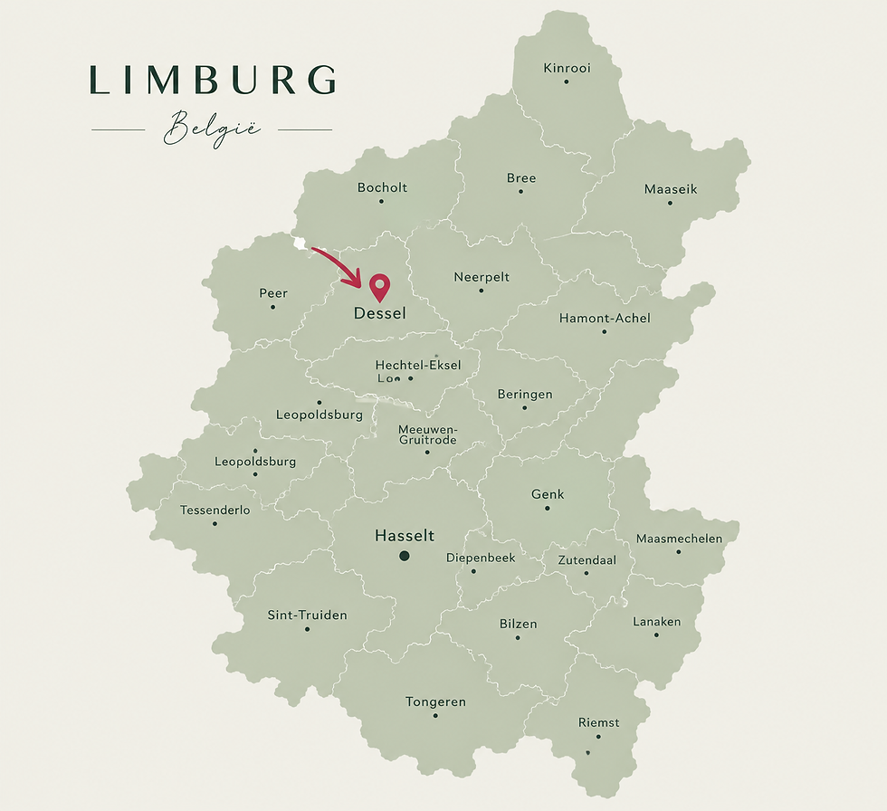 limburg kaart.png