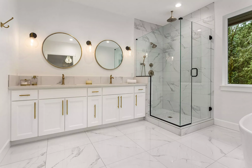 Mirrors and Shower.png