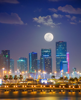 moonmiami.png