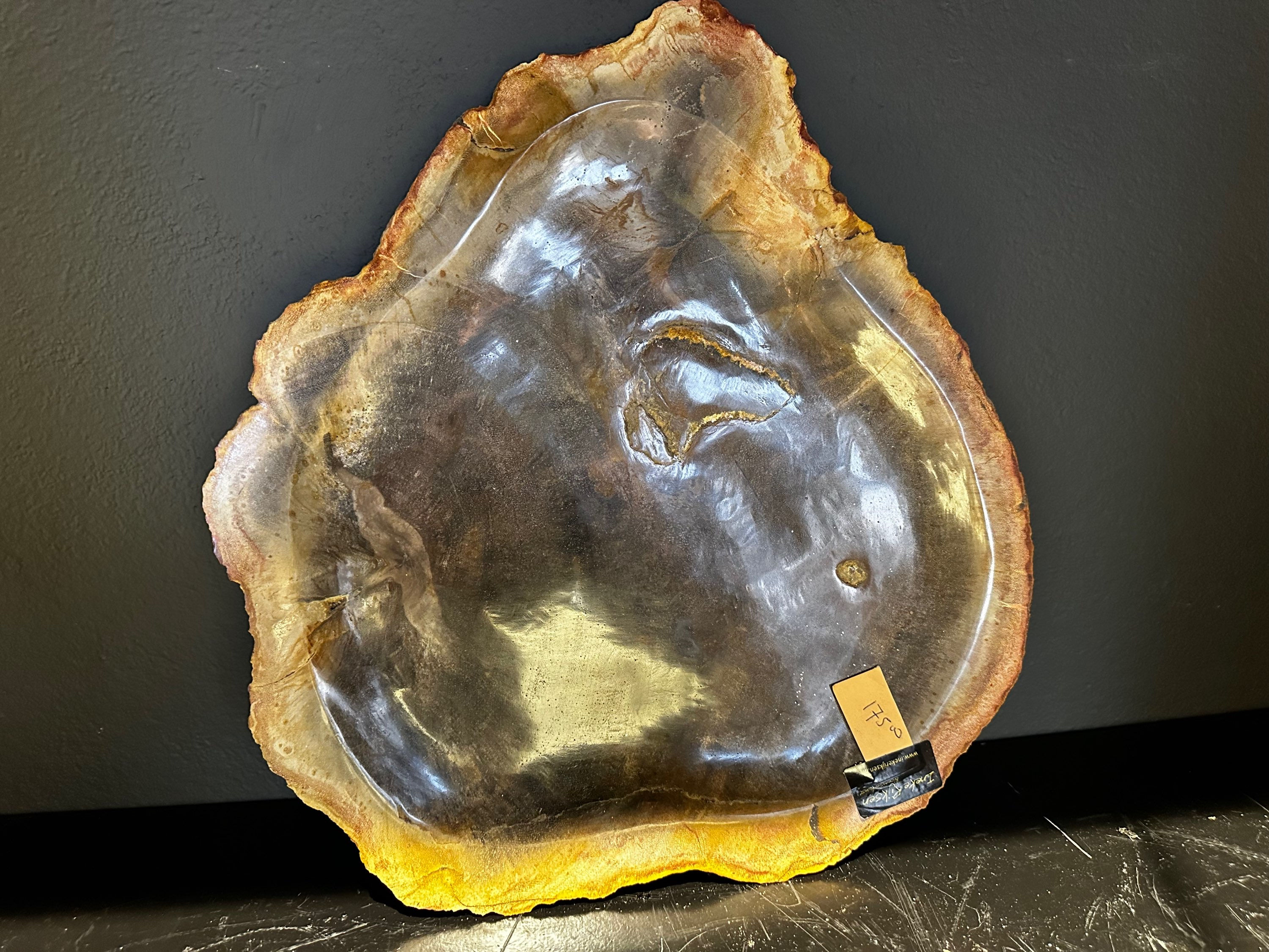 Schaal versteend hout