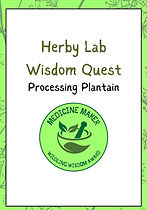 herby lab (2).jpg