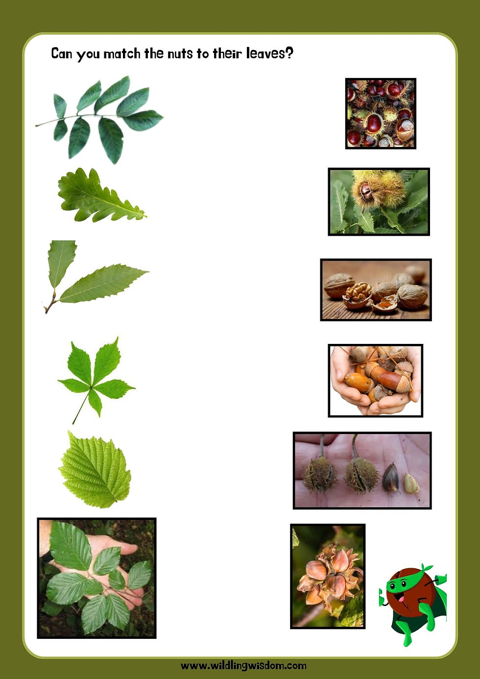 Thumbnail: The Wild Heroes' Wild Nut Fact File and Mini Wild Nut ID Book