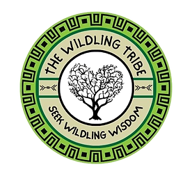 new tribe logo 2025_edited.png