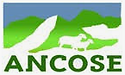ancosa.PNG