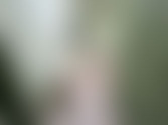 AUCTION: No Reserve Multi-Parcel Commercial Property  – Drumright, OK