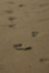 footprints sand.jpg