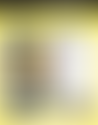 AUCTION: ONLINE-ONLY BIDDING - MACOMB, OK