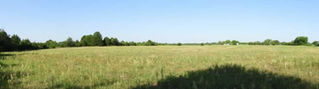 REAL ESTATE AUCTION: 76 Acres just off Route 66