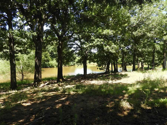 land-auction-004