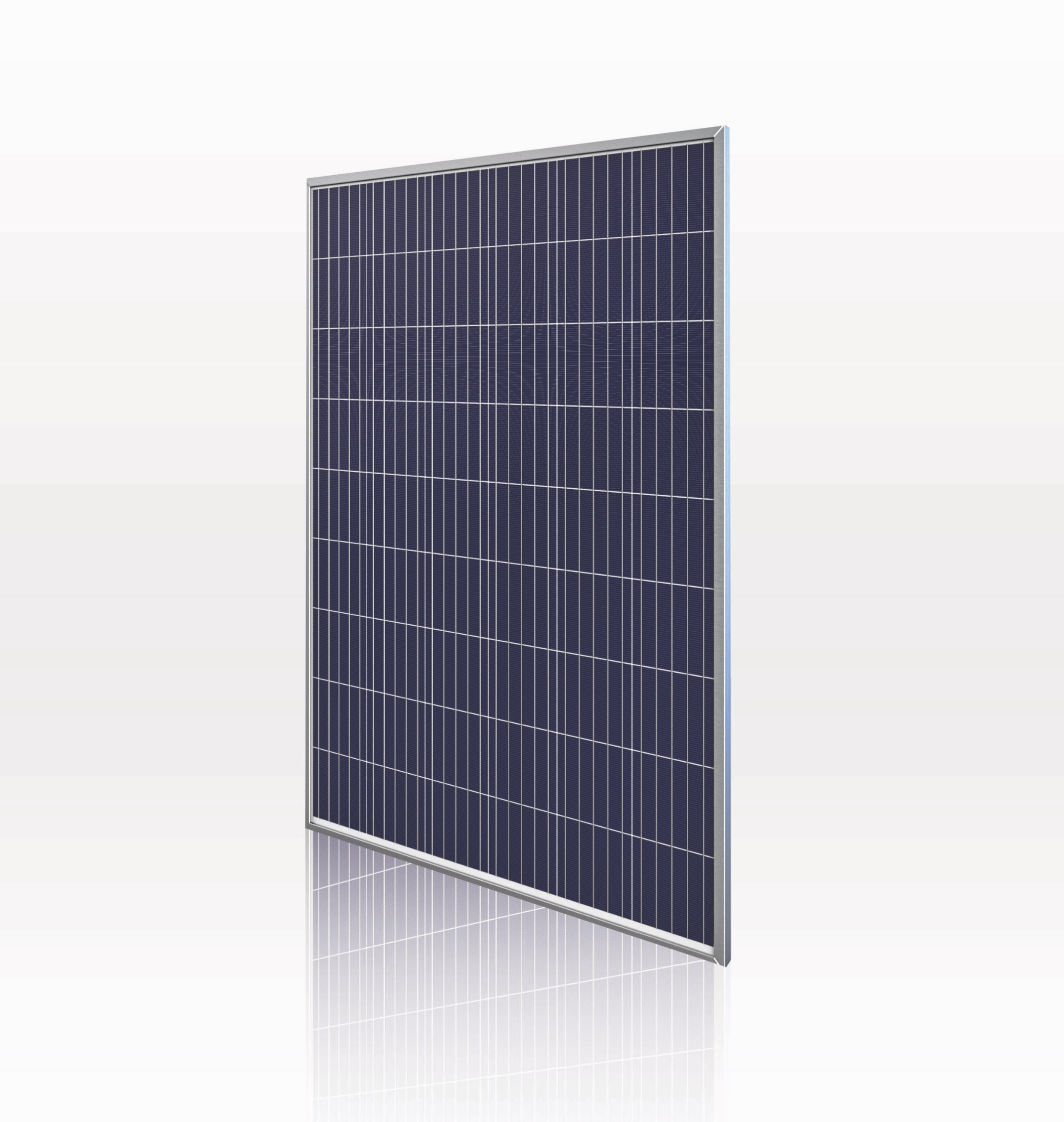 ReOn 54 celle poli