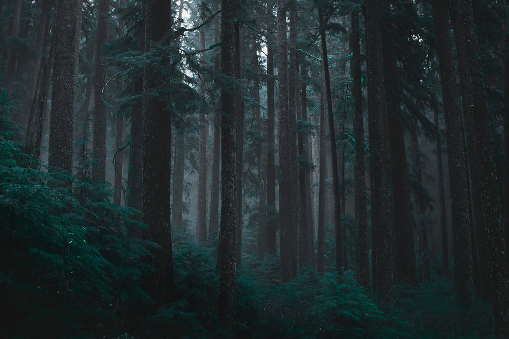 sethmaughan-UI1SFTkGKNw-unsplash.jpg