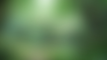 Ritual - Circle of Fertility