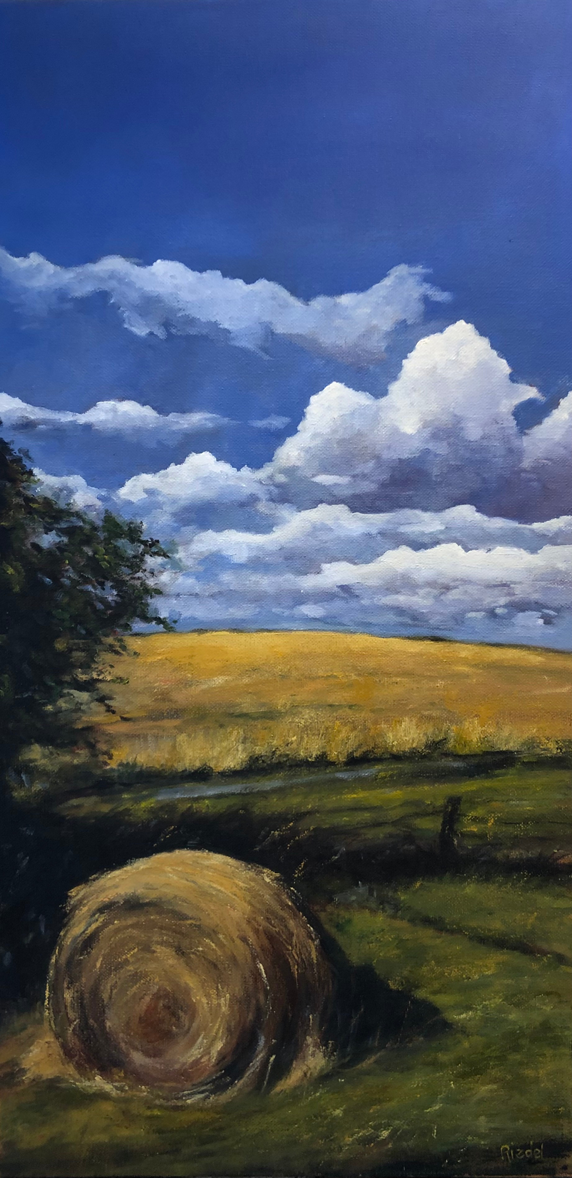 Katherine Riedel | Art of the Piedmont