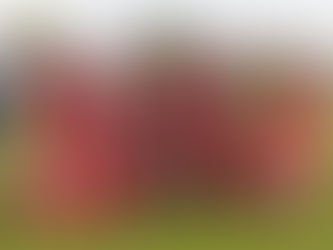 Frome Town 3 - 1 Bristol Manor Farm: Play-Off Final