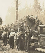 Logging_Joe Donlan and crew c.1905_IHM-2018.011.075.jpeg