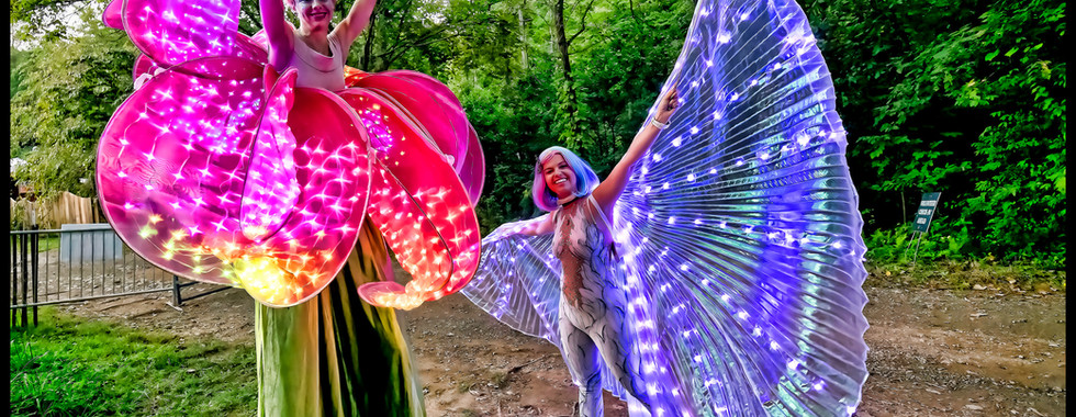 LED Flower on Stilts and LED Wings