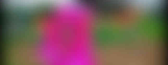 LED Flower Performacne