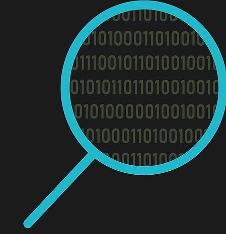 Master Data Search Inverted_edited.jpg