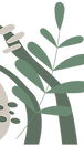 leaf3