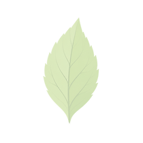 leaf10