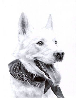 copic markers art portrait pet portrait grayscale  commissionblack and white b&w ink realistic realism dog cat long fur huskey bandana puppy white tongue 