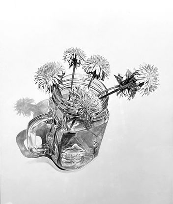 grayscale ink drawing copic markers marker paper dandelions flowers mason jar water reflections shadow black and white art artwork large hyper realistic realism 