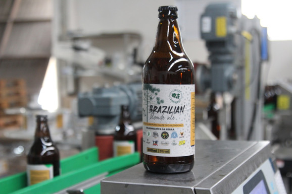 Ambev e microcervejarias catarinenses criam cerveja colaborativa com lúpulo nacional