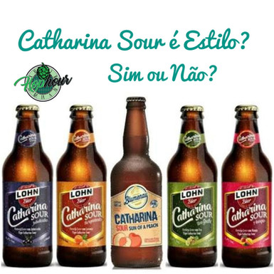Catharina Sour, o 1º estilo de cerveja brazuca