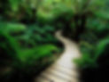 long-winding-path-21563053.jpg