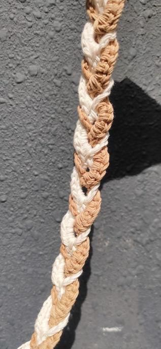 WhatsApp Image 2025-12-27 at 12.33.37 PM (1)