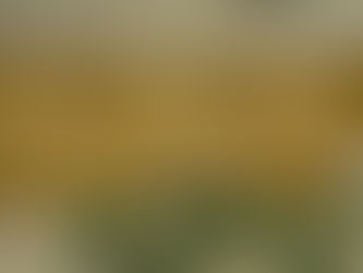 Parete fonoassorbente Acousystem