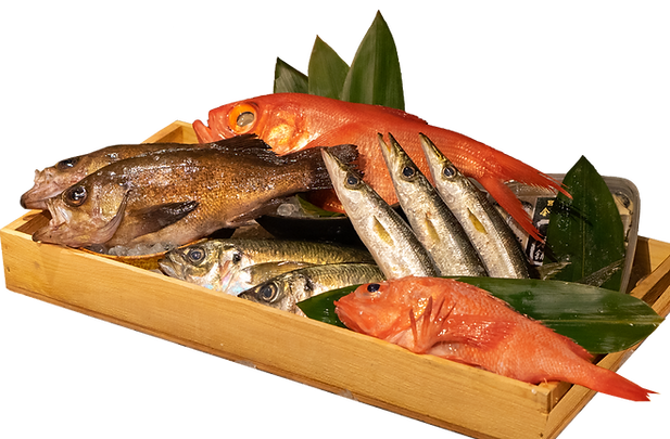 魚丸ごと-(8).png