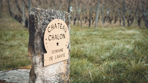 DOMAINE DE LAHAYE (1).jpg