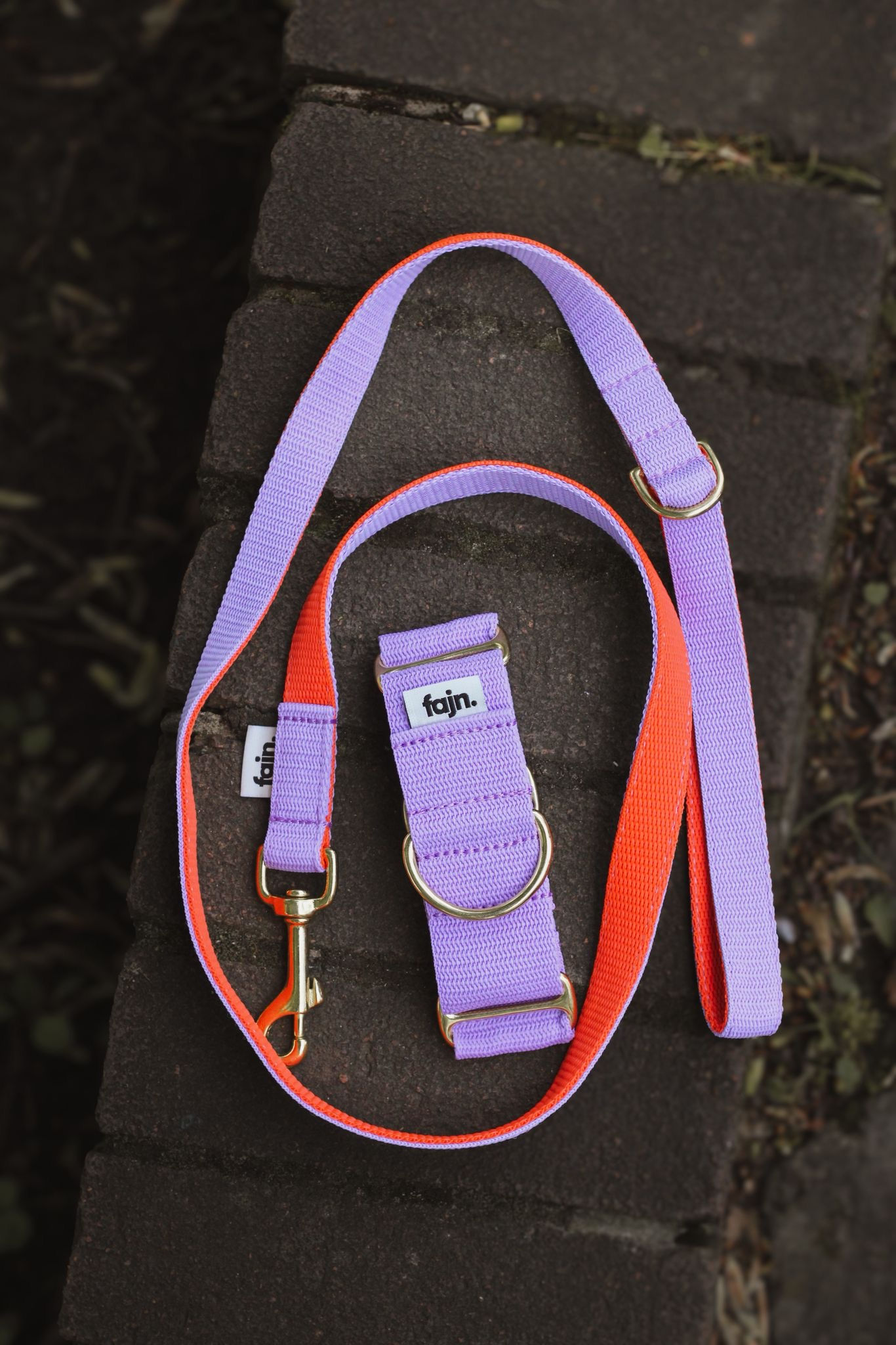 Lilac & Orange Martingale Collar and Lead Set