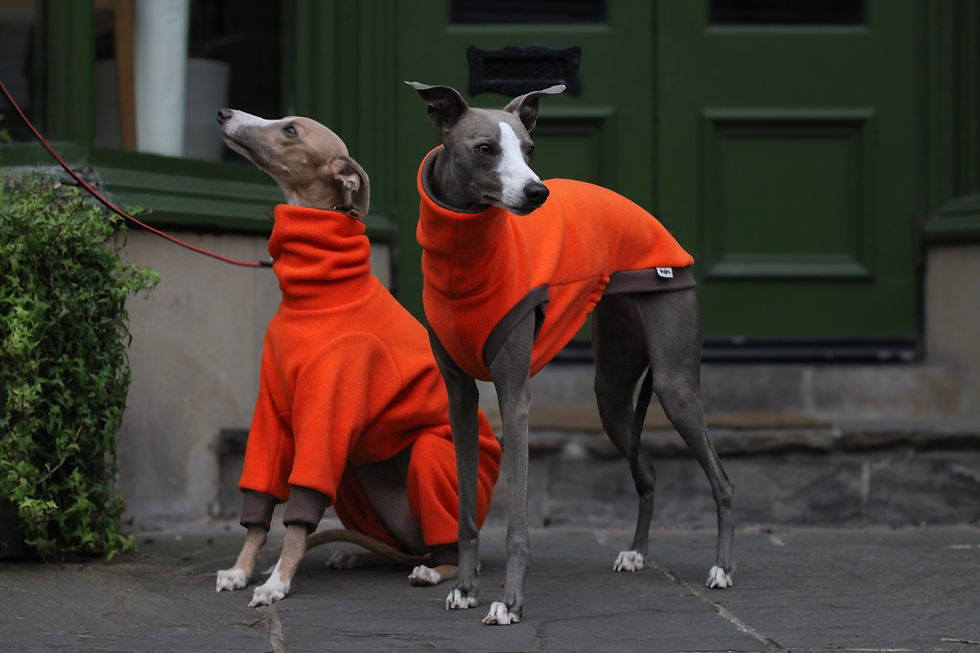 Thumbnail: Neon Orange Sleeveless Fleece