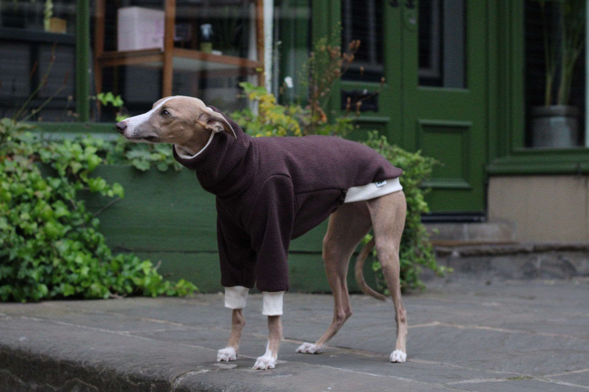 Chocolate Brown Jumper