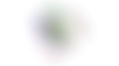 What is DynusT?