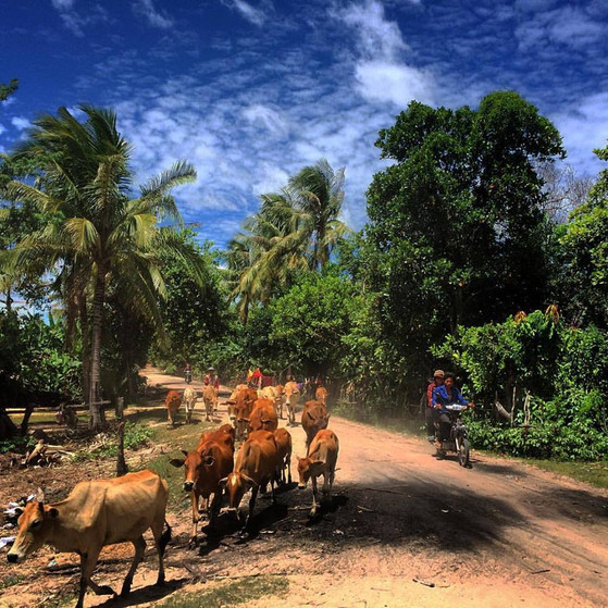 the coutryside in Siem reap.jpg