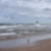 IMG_4966.JPEG