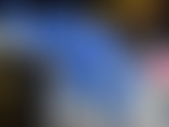 Slováci vchádzajú na olympijský štadión